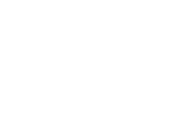bridging minds white logo